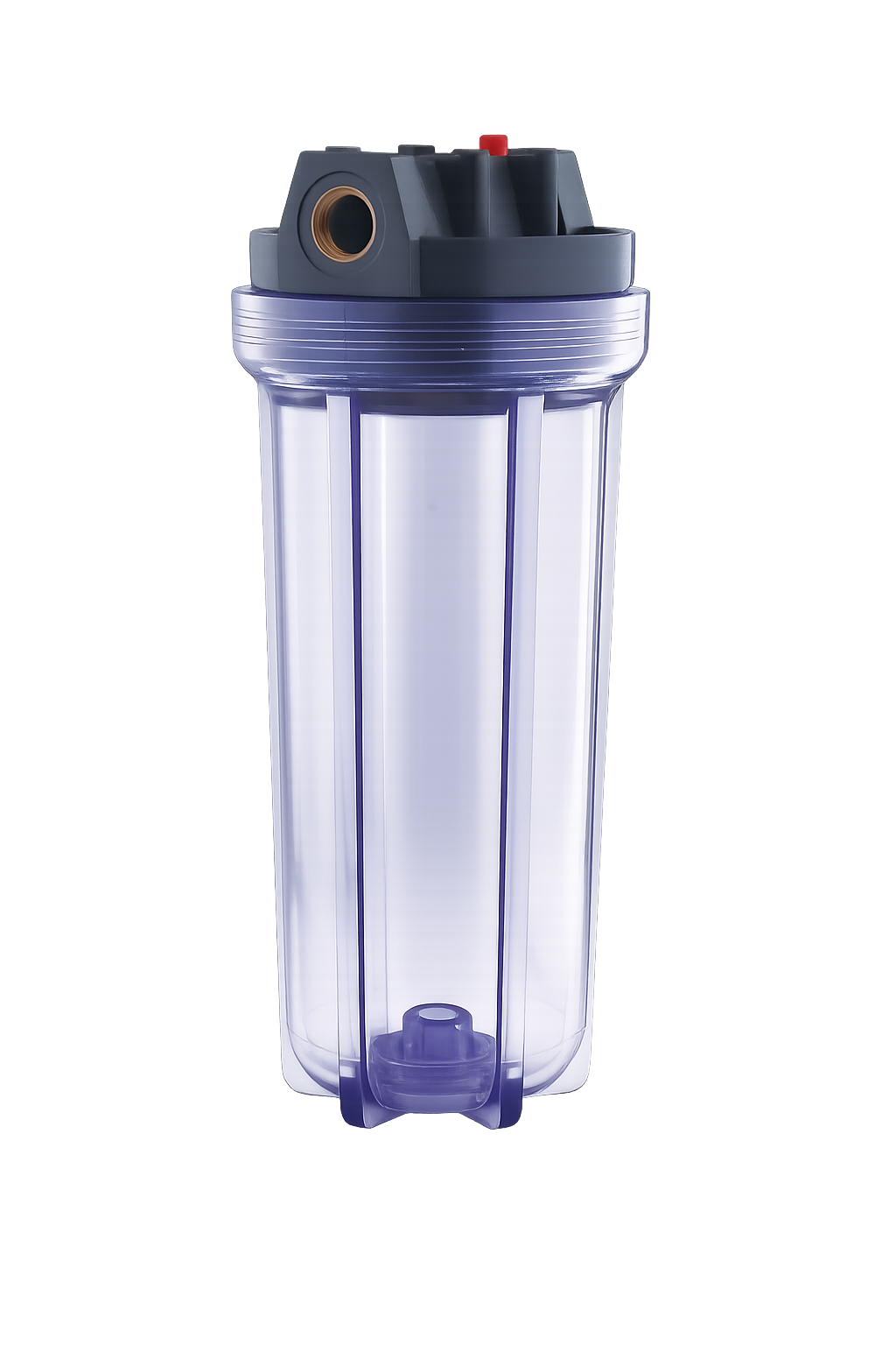 Clear 10" Filter Housing